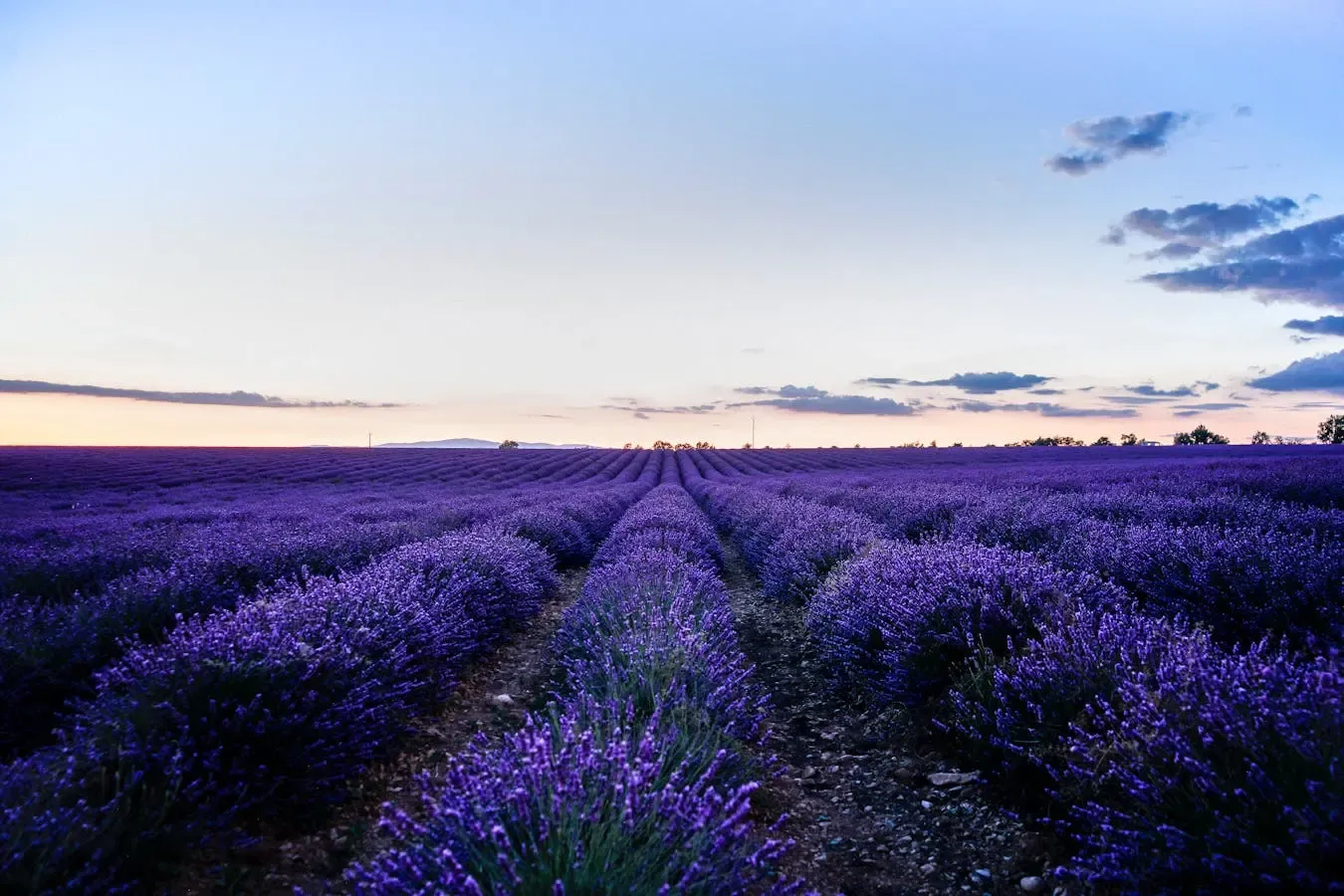 Explore the World’s Most Iconic Destinations